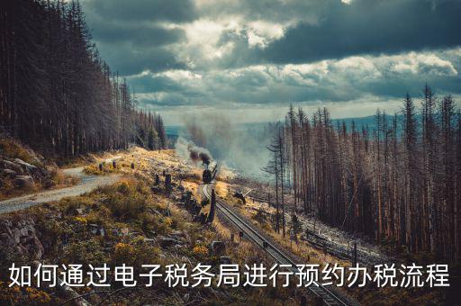 國(guó)稅局預(yù)約有什么，拿金稅盤(pán)去國(guó)稅前臺(tái)弄要預(yù)約嗎