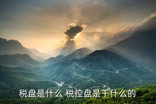 億企贏稅盤是什么，稅盤是什么 稅控盤是干什么的