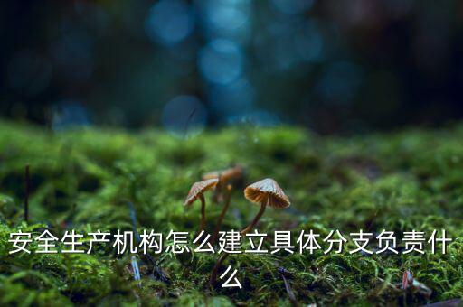 什么是三級(jí)分支機(jī)構(gòu)，英語(yǔ)三級(jí)發(fā)證機(jī)構(gòu)是什么