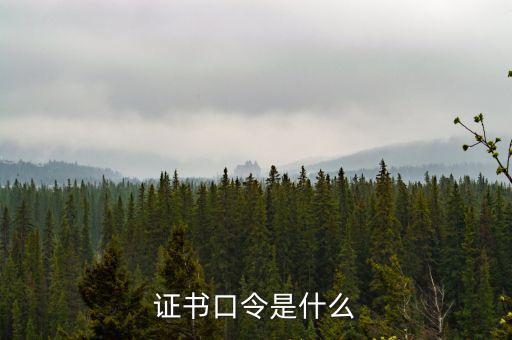 證書(shū)口令是什么