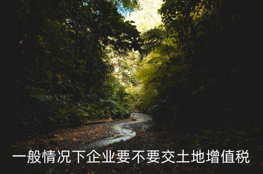 什么企業(yè)交土地增值稅，一般情況下企業(yè)要不要交土地增值稅