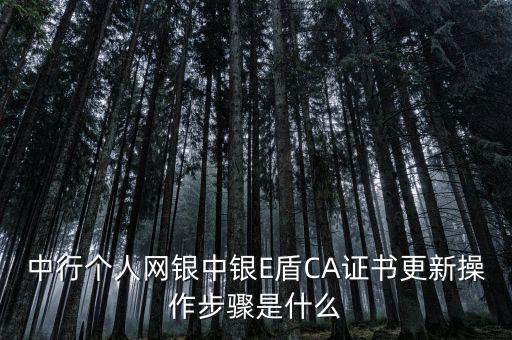 升級(jí)ca需要什么，CA證書怎么從副盤升級(jí)成正盤