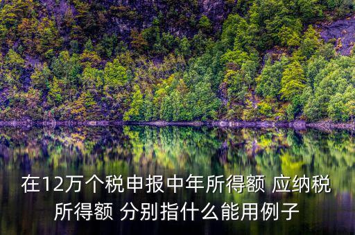 在12萬(wàn)個(gè)稅申報(bào)中年所得額 應(yīng)納稅所得額 分別指什么能用例子