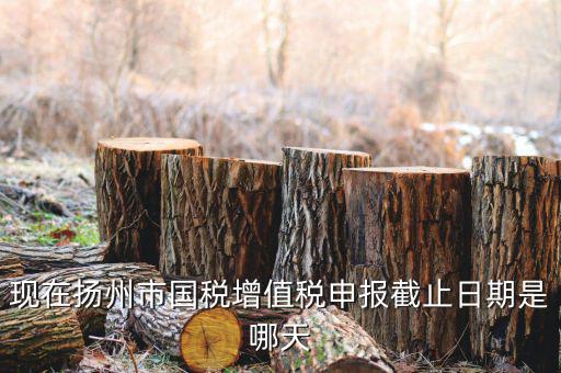 揚州10月稅務(wù)申報什么時候，個人所得稅10月份申報期限是多少