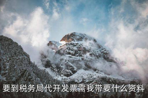 個人稅務(wù)局代開發(fā)需要什么資料，稅局代開發(fā)發(fā)票需要帶什么資料