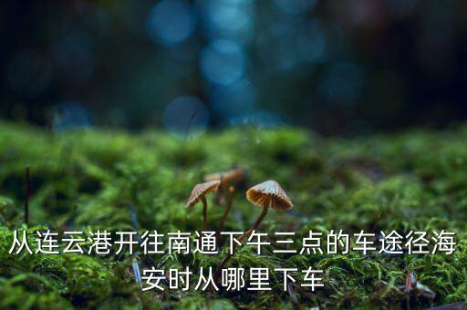 連云港到南通經(jīng)過(guò)什么地方，從連云港開(kāi)往南通下午三點(diǎn)的車(chē)途徑海安時(shí)從哪里下車(chē)