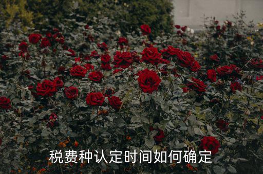 稅種認(rèn)定后什么時間申報，稅務(wù)局變更稅費種認(rèn)定變更后多久可以可以報稅