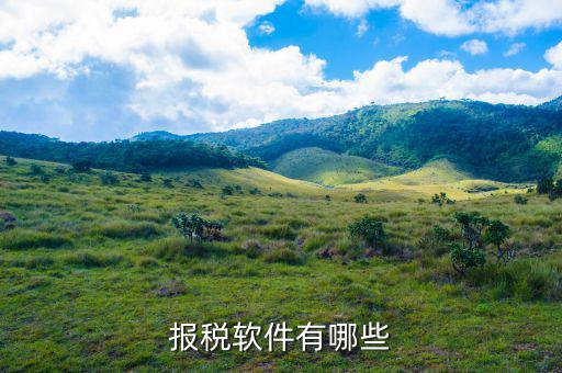 四川報稅軟件叫什么名字，網(wǎng)上報稅的那個軟件叫什么呀
