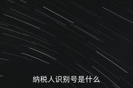 山西國(guó)稅納稅人識(shí)別號(hào)是什么，納稅人識(shí)別號(hào)是什么