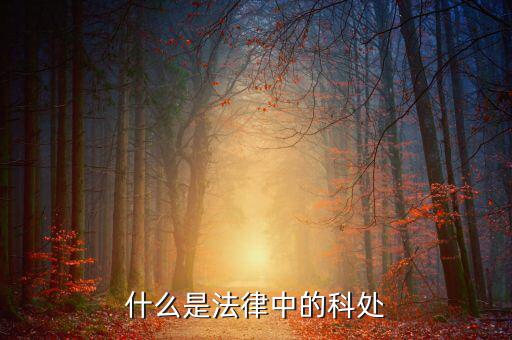 征科處  是做什么的，征寶寶幻化有什么用