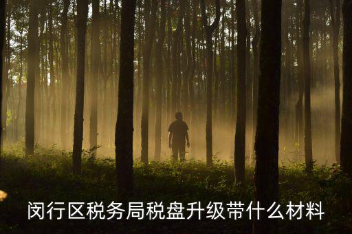 去升級(jí)稅控盤要帶什么，去國(guó)稅稅控盤升級(jí)需要帶哪些材料