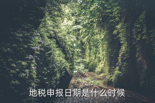 地稅清稅報告時間是什么原因，每月稅務申報時間什么時候