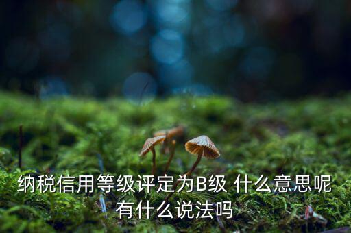 國稅b級信用是什么意思，納稅信用等級評定為B級 什么意思呢有什么說法嗎