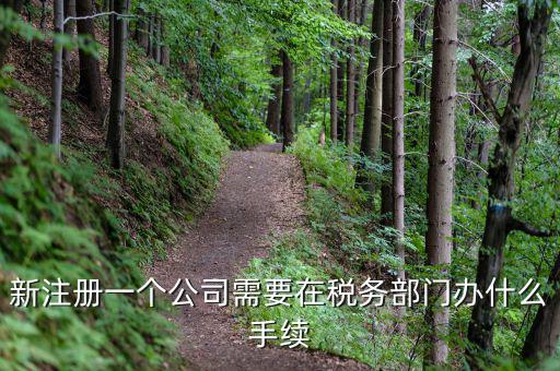 新辦企業(yè)需要到地稅辦理什么手續(xù)費(fèi)，新注冊(cè)一個(gè)公司需要在稅務(wù)部門辦什么手續(xù)