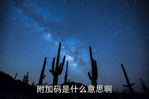 遼寧查發(fā)票有一個(gè)附加碼是什么，發(fā)票真?zhèn)尾樵?xún)碼是什么