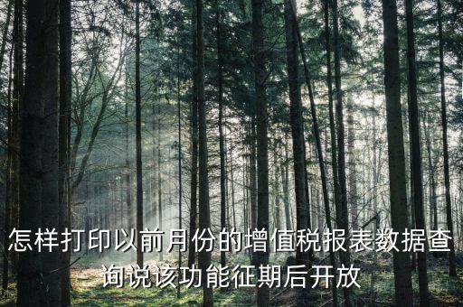 46月份征期是什么意思，怎樣打印以前月份的增值稅報表數(shù)據(jù)查詢說該功能征期后開放