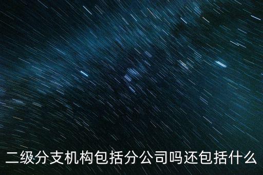 什么是二級分支機構，現在分公司要辦稅務登記證但是我想問一下二級分機構指的是