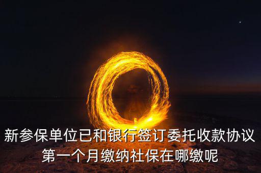 什么時候辦理授權劃繳協(xié)議，如何取得委托銀行劃轉地方稅費授權書協(xié)議書去銀行還是去地稅
