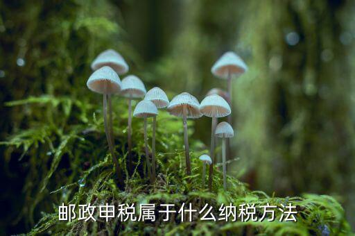 納稅郵件什么意思，郵政申稅屬于什么納稅方法