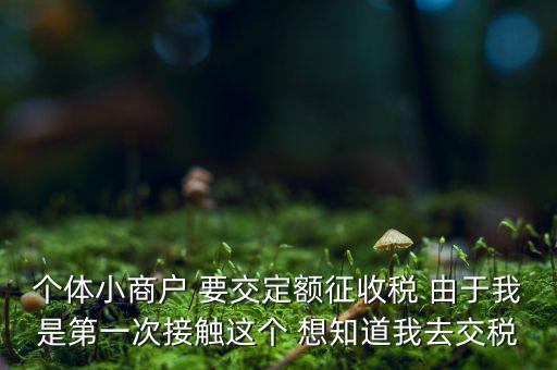 定額納稅到什么地方繳，定額征收的個體需繳納什么地稅