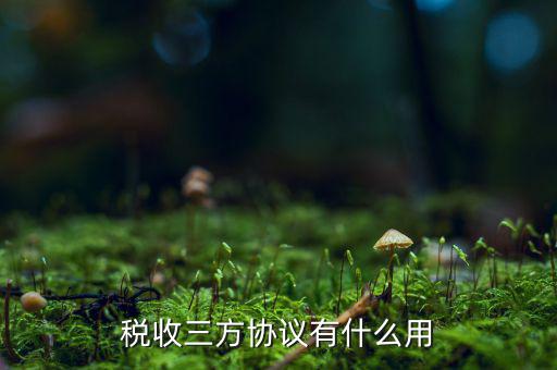 稅務(wù)第三方協(xié)議是什么，地稅局簽第三方協(xié)議 備案是什么意思