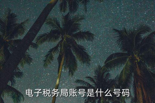電子稅務(wù)登錄賬號(hào)是什么，電子稅務(wù)局賬號(hào)是什么號(hào)碼