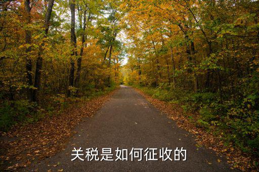 依據(jù)什么征收關(guān)稅，關(guān)稅是如何征收的