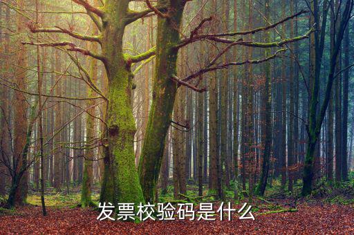 電子發(fā)票 查詢的驗(yàn)證碼是什么，發(fā)票校驗(yàn)碼是什么