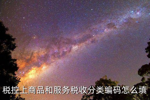 稅控上商品和服務稅收分類編碼怎么填