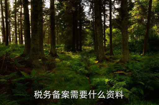 消費稅免稅備案需要帶什么資料，理跨境服務免稅備案手續(xù)時需要提交哪些資料