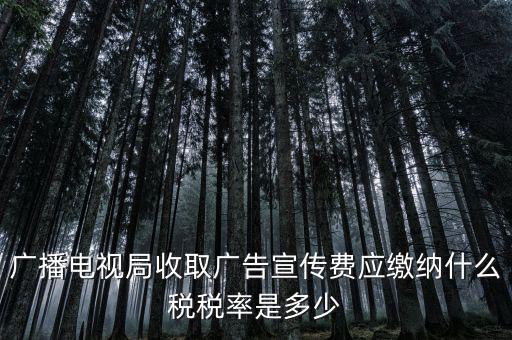 宣傳費(fèi)屬于什么稅，廣播電視局收取廣告宣傳費(fèi)應(yīng)繳納什么稅稅率是多少