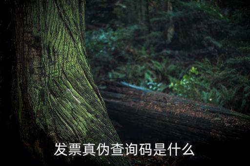 網(wǎng)絡(luò)發(fā)票查詢號是什么，發(fā)票真?zhèn)尾樵兇a是什么