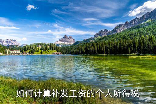 北京 工資補(bǔ)發(fā) 按照什么計(jì)稅，如何計(jì)算補(bǔ)發(fā)工資的個(gè)人所得稅