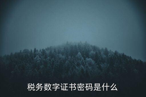 輸入稅務(wù)數(shù)字證書密碼是什么，稅務(wù)數(shù)字證書密碼是什么