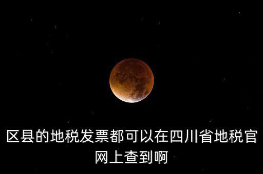 四川省網(wǎng)上稅務局用什么服務器，區(qū)縣的地稅發(fā)票都可以在四川省地稅官網(wǎng)上查到啊