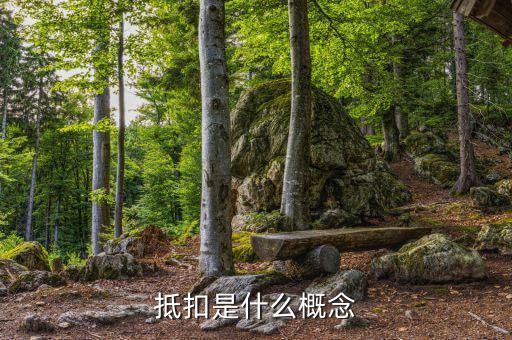 什么叫成本抵扣，一般納稅人進(jìn)項(xiàng)稅入成本和抵扣有什么區(qū)別