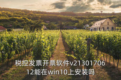 稅控發(fā)票開(kāi)票軟件v2130170612能在win10上安裝嗎