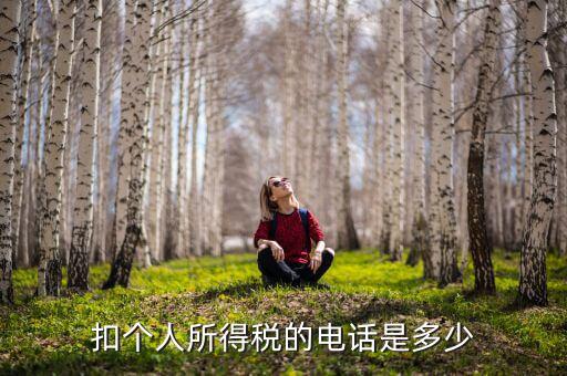 成都查個稅打什么電話，如何查詢個人所得稅明細(xì)