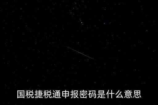 稅務(wù)軟件申報(bào)密碼是什么意思，納稅申報(bào)密碼是什么