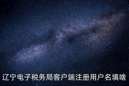 遼寧省網(wǎng)上稅務局登錄需要什么，遼寧電子稅務局客戶端注冊用戶名填啥