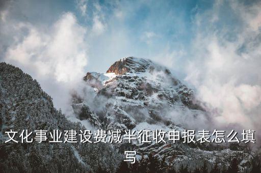 什么叫文化事業(yè)建設(shè)費(fèi)申報表，文化事業(yè)建設(shè)費(fèi)申報表怎么填