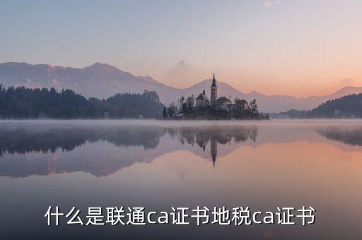 什么是地稅ca證書(shū)，社保CA地稅CA