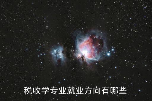 稅收學(xué)專業(yè)就業(yè)方向有哪些