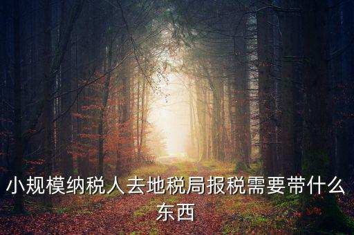 上門申報附加稅要帶什么資料，去地稅局繳納營業(yè)稅金及附加需要帶什么資料