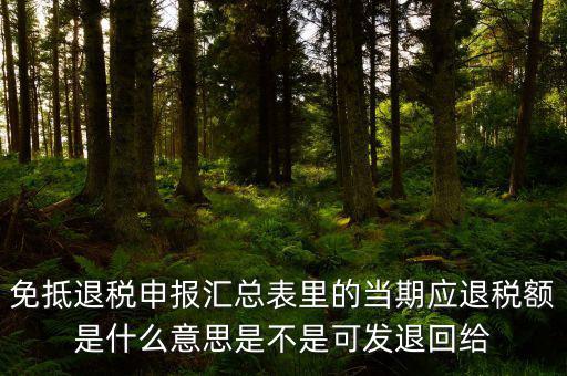免抵退貨物應(yīng)退稅額是什么意思，免抵退應(yīng)退稅額是什么意思