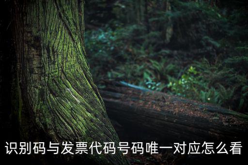 發(fā)票查詢識(shí)別碼是什么，識(shí)別碼與發(fā)票代碼號(hào)碼唯一對(duì)應(yīng)怎么看