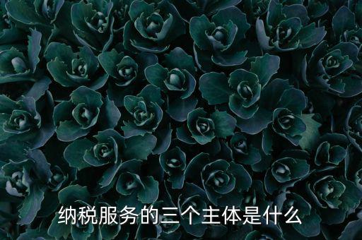 納稅服務(wù) 是什么，納稅服務(wù)的三個(gè)主體是什么