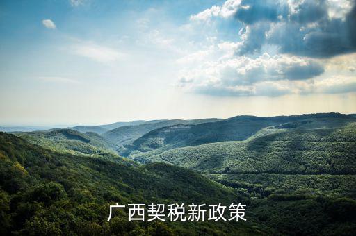 廣西的稅收什么時(shí)候?qū)嵭幸话阌?jì)稅，2022年的廣西稅率