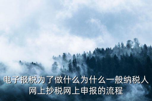 電子稅務(wù)申報是什么來的，電子申報納稅是怎么回事給報送紙質(zhì)申報材料一樣嗎