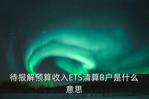 地稅b戶是什么，待報解預(yù)算收入ETS清算B戶是什么意思
